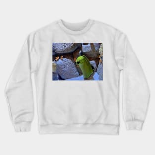 Monterey Bay Study 10 Crewneck Sweatshirt